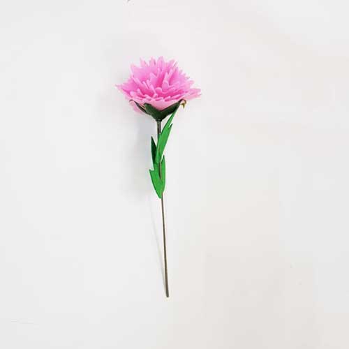 單支康乃馨花